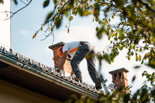 Best Flat Roof Repair Services  in Skyline View, PA