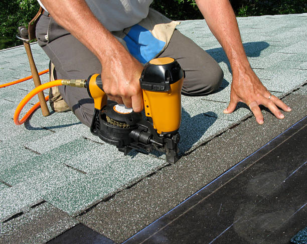 Best Roof Gutter Cleaning  in Skyline View, PA