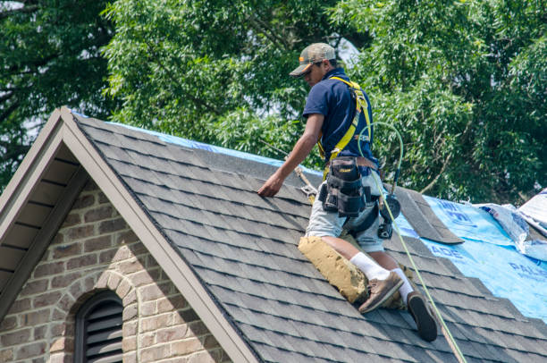 Roof Gutter Cleaning in Skyline View, PA